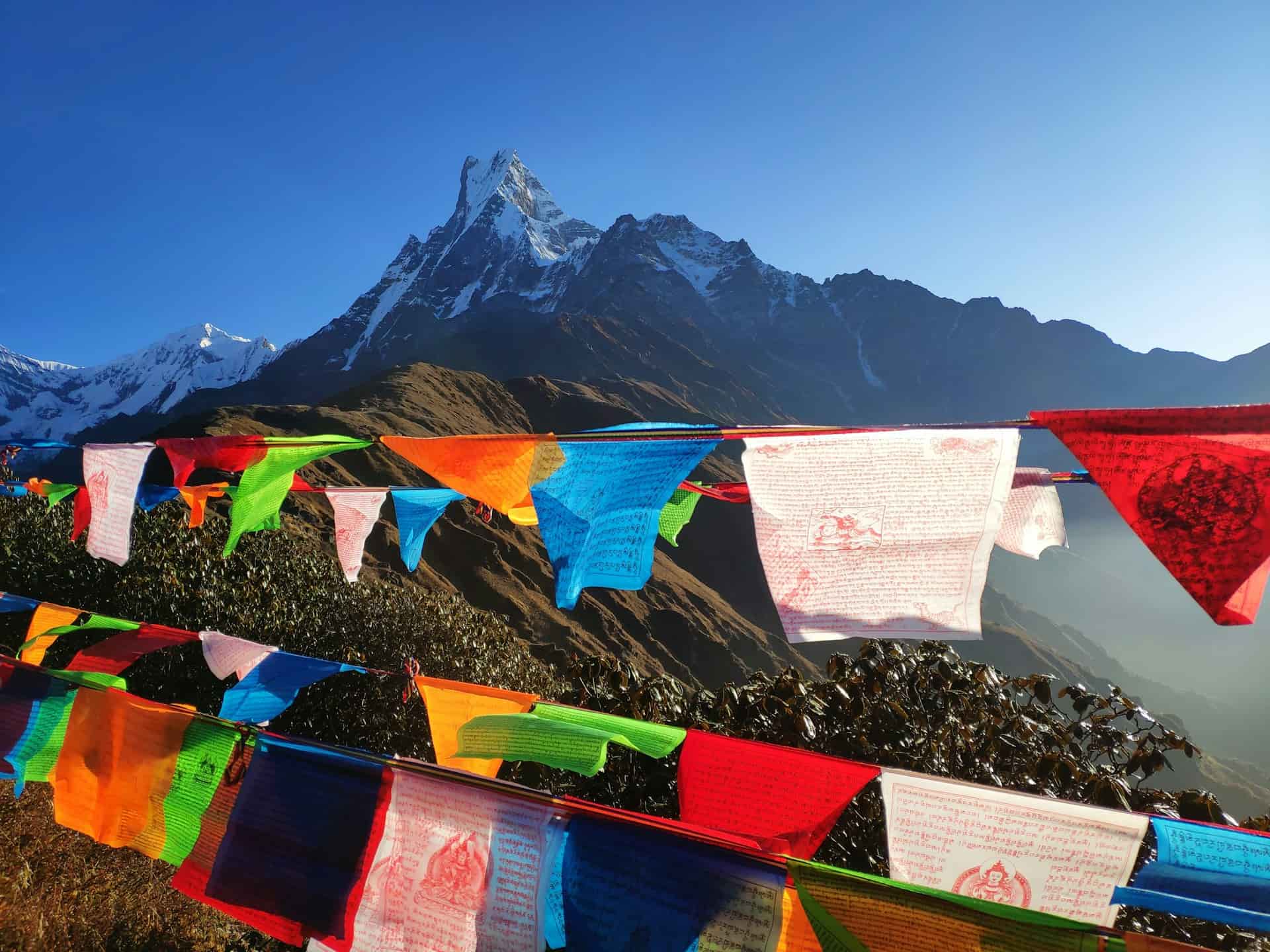 Trail to Mardi Himal: A Journey Through the Heart of the Himalayas